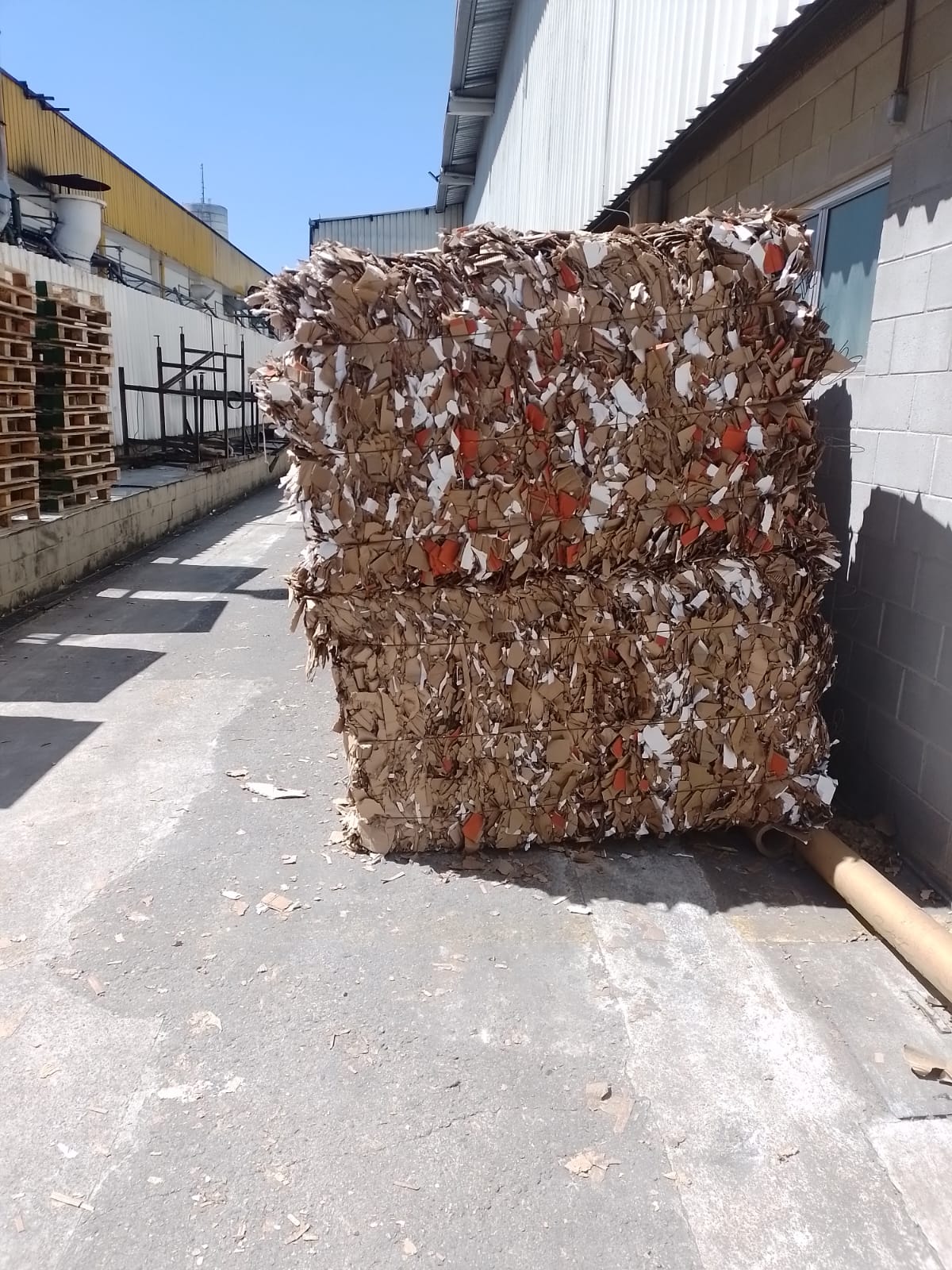 Resíduo de papelão - 10 fardos